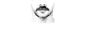 FlashFace