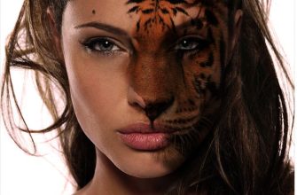 Animal Face скачать Бесплатно